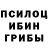Псилоцибиновые грибы Magic Shrooms Fegt Sex