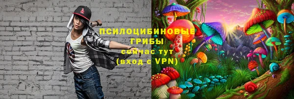кокс Абдулино
