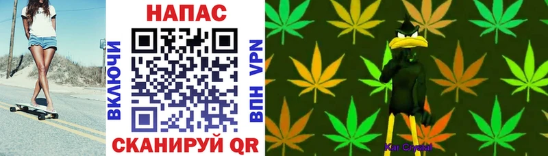 Конопля Bruce Banner  дарк нет официальный сайт  Бокситогорск  kraken как войти 
